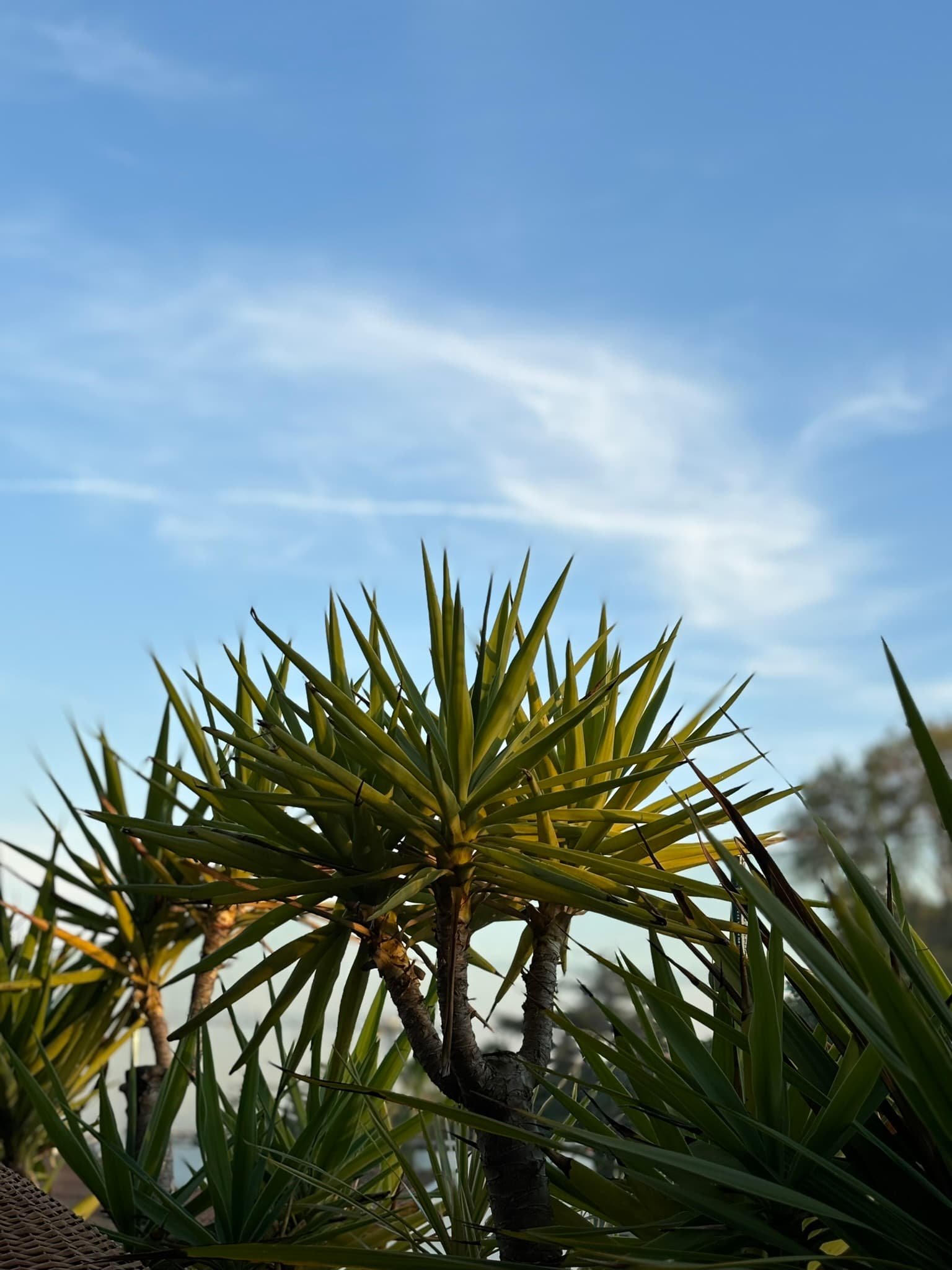 Preview Image 2